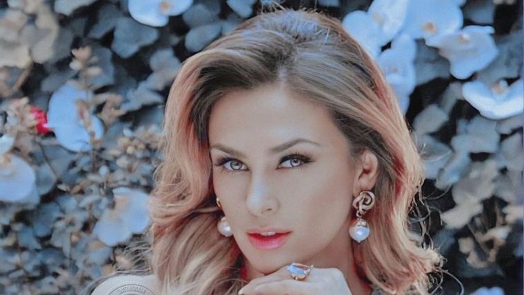 Aracely Arámbula, Luis Miguel