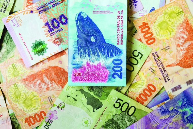 Para muchas personas, ordenar billetes no es solo una cuestión de prolijidad. Para muchas personas, ordenar billetes no es solo una cuestión de prolijidad.