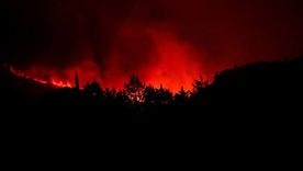 alerta en belgica por un incendio sin precedentes: la ue desplego cinco aeronaves alerta en belgica por un incendio sin precedentes: la ue desplego cinco aeronaves
