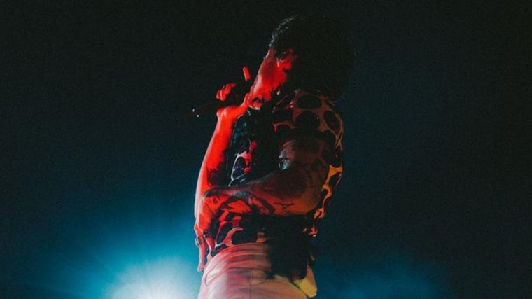 Harry Styles En Los Angeles Foto: Fuente: Imagen / Lloyd Wakefield