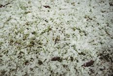 El Servicio Meteorológico Nacional alertó por tormentas con posible caída de granizo. Foto: Freepik