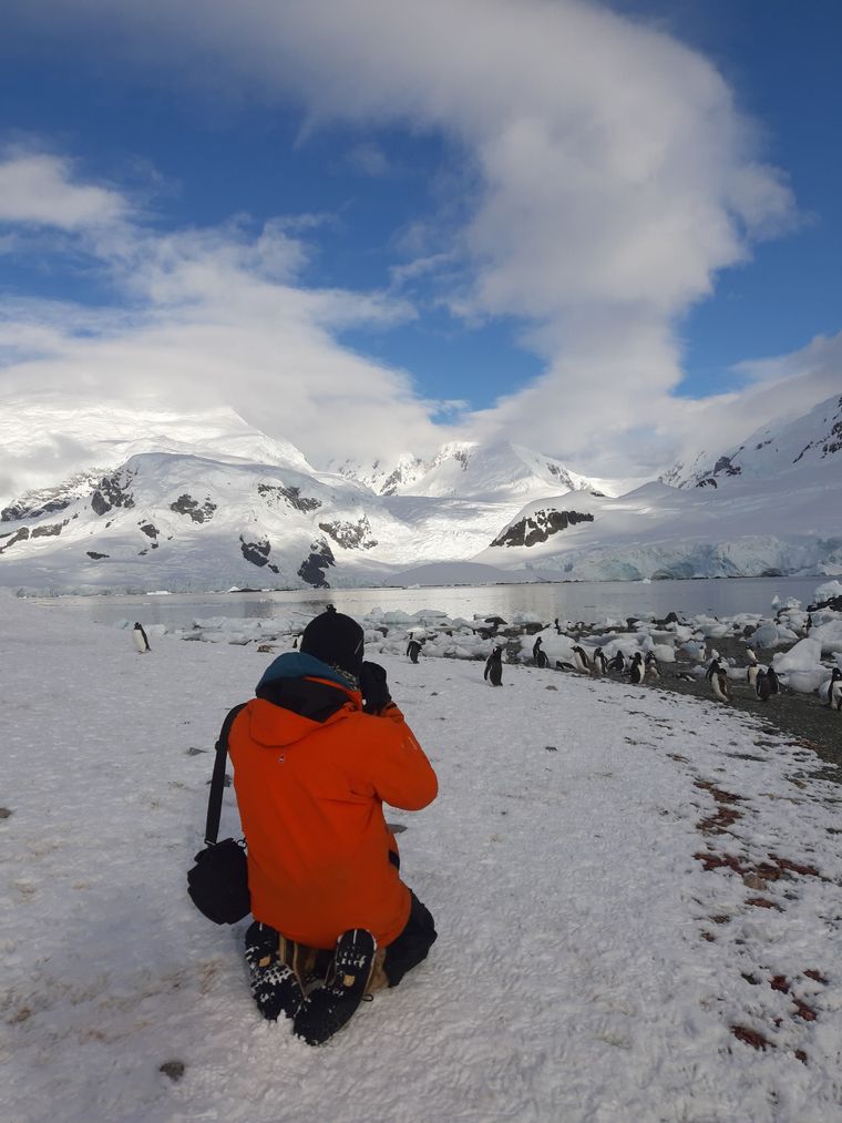 En la antártida descurbrieron una extraña criatura con 20 brazos. Foto: Télam