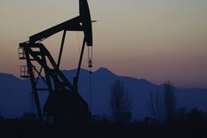 El precio del petróleo volvió a caer Foto: Gobierno de Mendoza