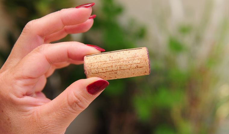 El corcho ayuda a desprender el sarro. El corcho ayuda a desprender el sarro.