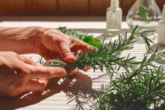 El poder del romero, un aliado natural para la salud. Foto: Shutterstock