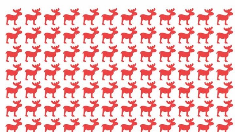 Acertijo visual, reto visual, reno