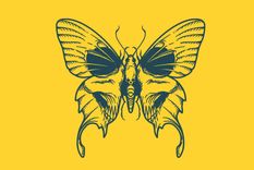 Test de personalidad