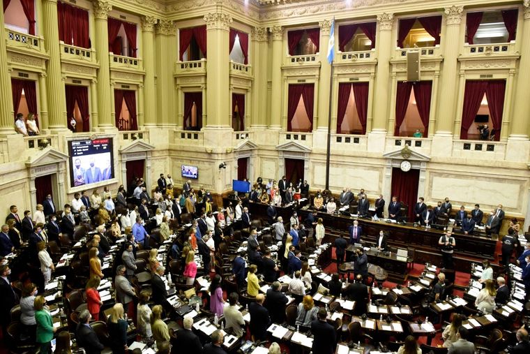 Foto: Prensa Diputados Nación