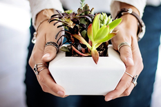 Estos son los secretos para cuidar tu jardín y esta increíble suculenta. Foto: Pixabay - pixabay.com
