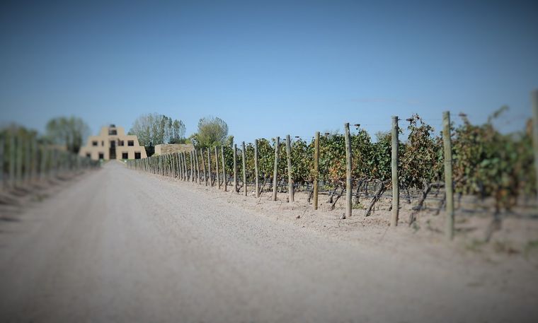 La bodega Catena Zapata lidera el ránking. Foto: Gentileza .fayeandsteve.com