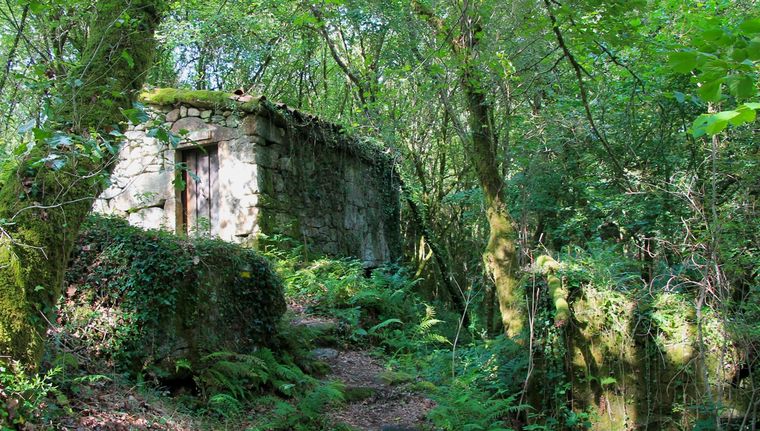 Este pueblo de Galicia fue elegido Capital del Turismo Rural