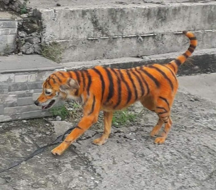 954556.jpg