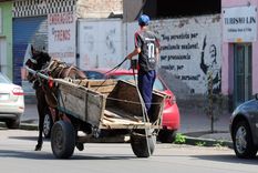 La pobreza es enorme. Casi la mitad de la población en nuestro país está bajo esa línea. Foto: ALF PONCE MERCADO / MDZ.