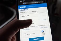 Se pueden cargar los documentos en la app de Mi Anses Foto: Santiago Tagua/MDZ