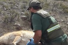 (Foto Diario de Cuyo)