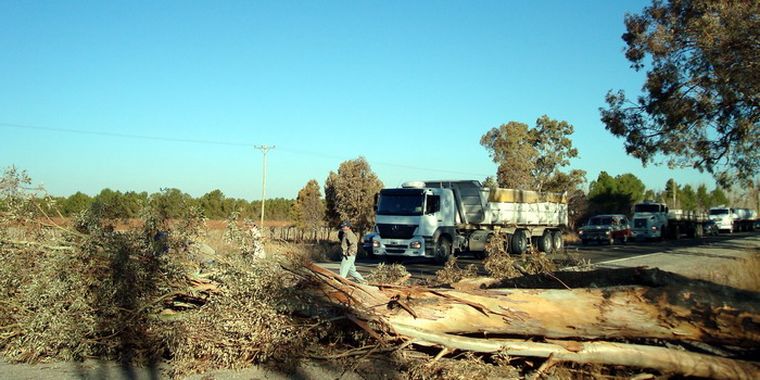 Los obreros comienzan a despejar la calzada. Foto: MDZ
