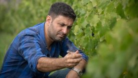 Juan Pablo Díaz, enólogo en bodegas López. Foto: Gentileza