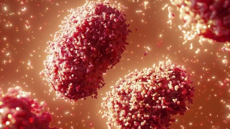 Foto: SCIENCE PHOTO LIBRARY