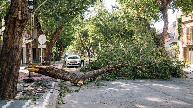 Foto: Santiago Tagua/MDZ