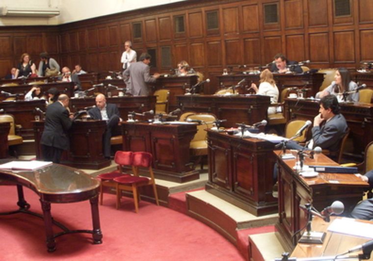 La Cámara de Senadores sesionó apenas 40 minutos para aprobar la ley. Foto: MDZ