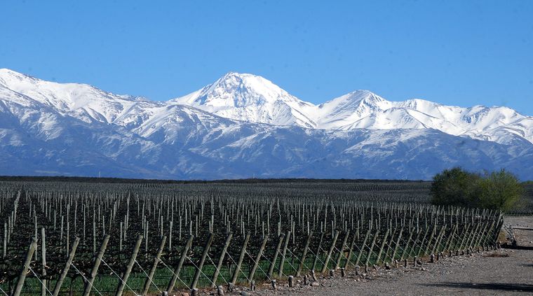 Foto: Alf Ponce / MDZ