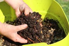 Jardín Recetas de fertilizantes orgánicos Foto: Shutterstock