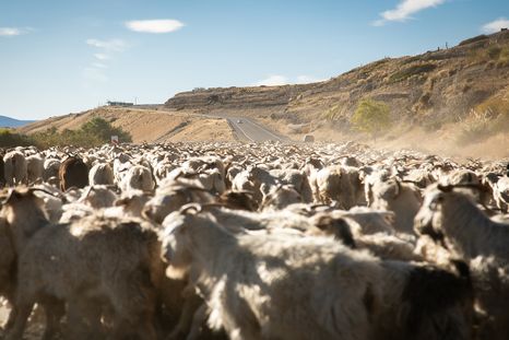 Los pueblos argentinos premiados por la ONU preservan su identidad y su entorno. Los pueblos argentinos premiados por la ONU preservan su identidad y su entorno.