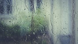 Mantener los vidrios del auto desempañados es una tarea fundamental Foto: Pixabay