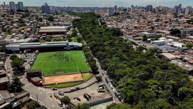 Los árboles comenzaron a plantarse en 2003. Foto: Vitor Serrano/BBC News Brasil