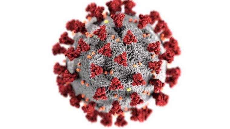 Cientos de miles de genomas del virus están siendo analizados alrededor del mundo. Foto: GETTY IMAGES