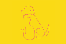 Test de personalidad Test de personalidad