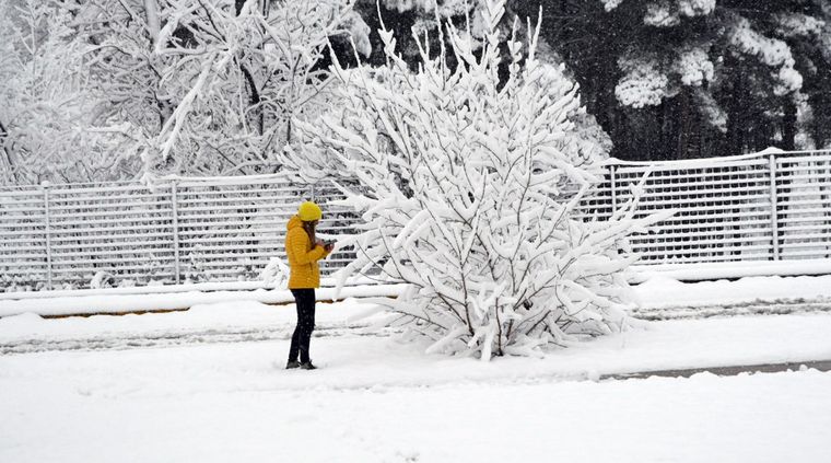 Se esperan muy bajas temperaturas para la semana, con posibilidad de nevadas en zonas inusuales. Foto: ALF PONCE MERCADO / MDZ