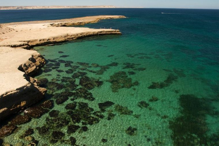 Puerto Madryn ofrece extensas playas a sus visitantes