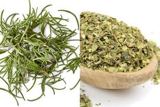 Aprovecha las propiedades medicinales de estas hierbas. Foto: Archivo