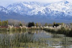 Foto: ALF PONCE MERCADO / MDZ