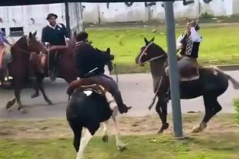 Celebraban el 25 de Mayo en Berazategui y terminaron protagonizando una violenta pelea a rebencazos Celebraban el 25 de Mayo en Berazategui y terminaron protagonizando una violenta pelea a rebencazos