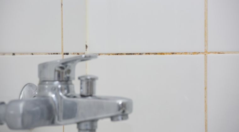 El bicarbonato de sodio ayuda a eliminar el moho en el baño. Foto: Shutterstock El bicarbonato de sodio ayuda a eliminar el moho en el baño. Foto: Shutterstock