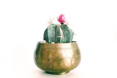 ¿que sabemos acerca del feng shui?