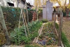 Las huertas agroecológicas son una tendencia. Foto: Gentileza INTA