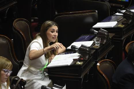 Marcela Pagano apuntó contra Manuel Adorni y pidió su detención. Marcela Pagano apuntó contra Manuel Adorni y pidió su detención.