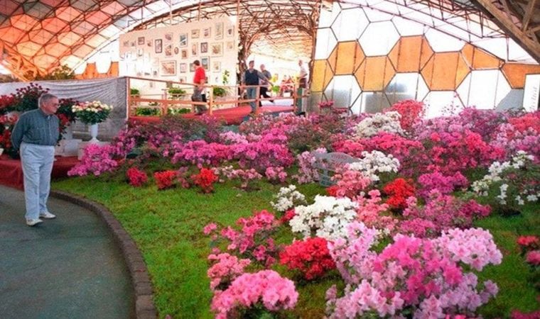 La Fiesta Nacional de la Orquídea se celebra anualmente en Misiones.