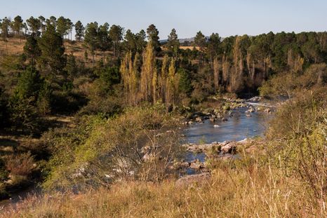 Estos pueblos cordobeses ofrecen ríos y embalses perfectos para disfrutar el verano. Estos pueblos cordobeses ofrecen ríos y embalses perfectos para disfrutar el verano.