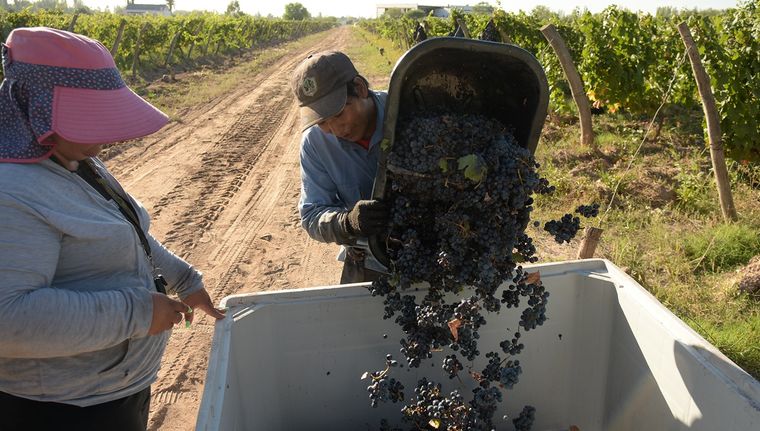 Foto: Walter Moreno/Mdz