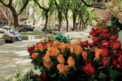 MDZol | Foto: Gentileza