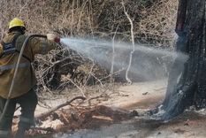 Desde los comienzos de los focos ígneos, los brigadistas se enfocaron en proteger a la comunidad y los recursos naturales Foto: Gobierno de Rio Negro