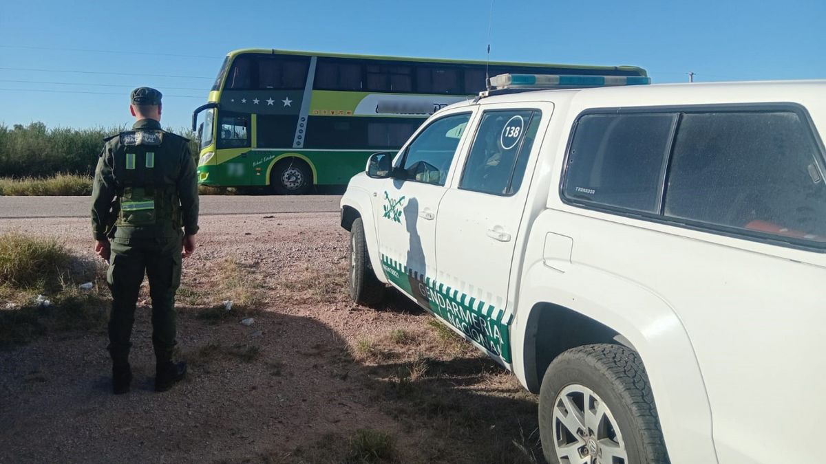 Secuestran más de 35 kilos de hojas de coca en un micro con destino a Mendoza