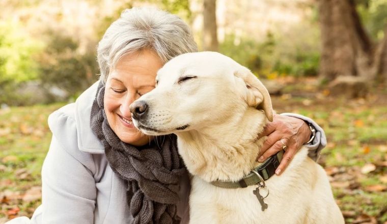 La próxima vez que te encuentres con tu fiel amigo, no dudes en hablarle con cariño y entusiasmo. Foto: Archivo