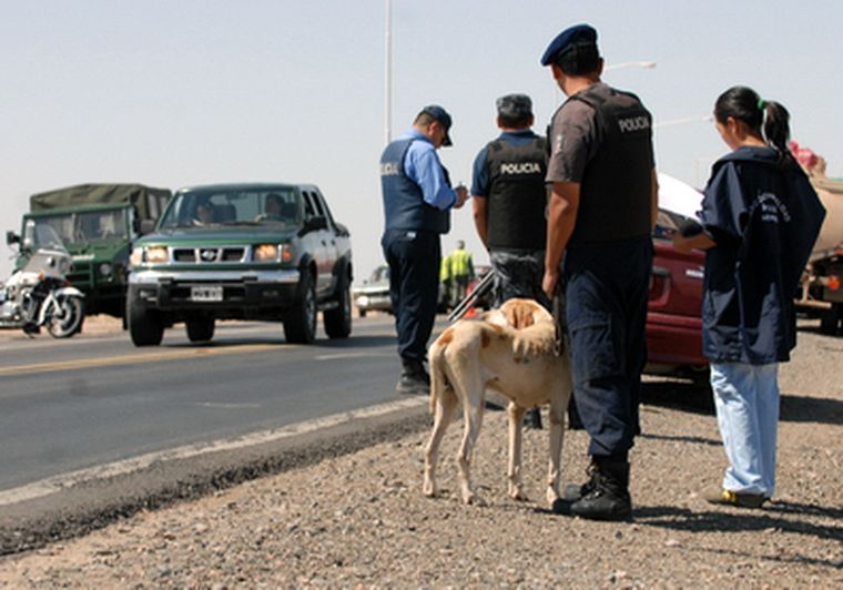 Los radares para medir la velocidad nunca fueron homologados Foto: Marcelo Ruiz / MDZ