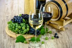 Anímate a probar y maridar atún con distintos tipos de vinos. Foto: Pixabay - pixabay.com