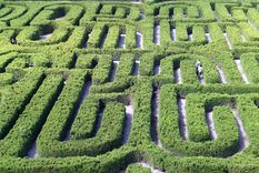 Destino de verano: un laberinto que recuerda a uno de los escritores más importantes. Foto: Archivo